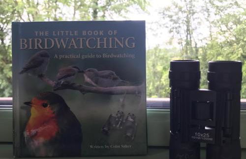 Hollybush Lodges - Foto 47