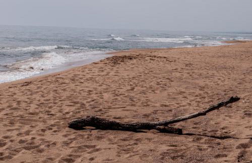 Phyllida Guest House - A1 - Foto 24