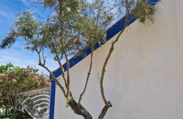 Monte das Aranhas - Foto 26