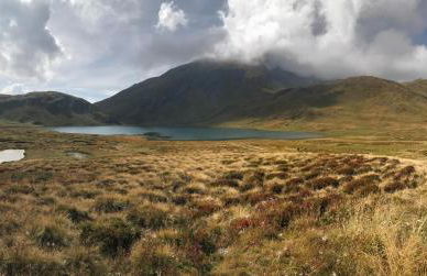 house of hearts - CIR10 - Foto 19