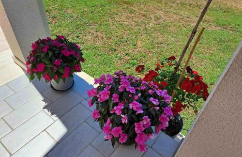 Apartmani Danica - Foto 11