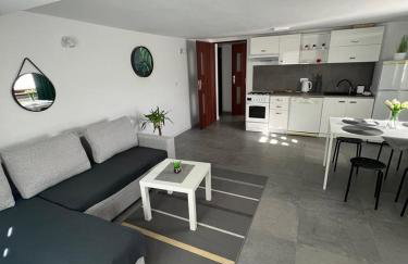 Apartament Koninki - Foto 1