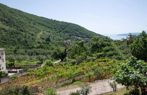 Apartman Villa Katrina - Photo 8