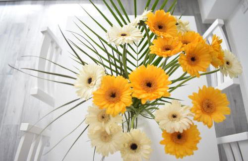 La Masera Holiday - Vigneto - Foto 14