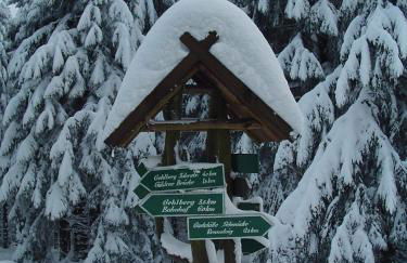 Apartments und Bistro Zum Glasmacher - Foto 84