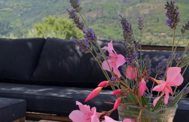 Special Farmstay, Faia-Guarda - Foto 18