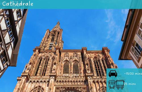 New F2 Le Chouch'heim 2 superficie 50 m2 cosy et renové 2025 - Foto 43