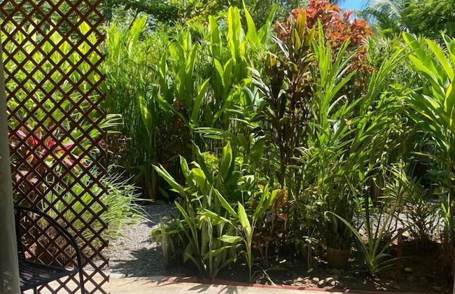 Morning Glory - Foto 50