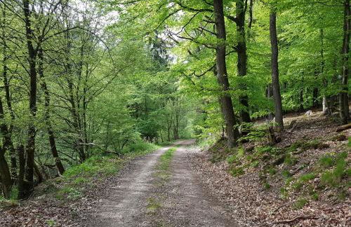 Ferienwohnung Jansen "Eins" - Foto 19