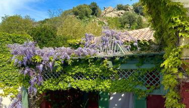 Domaine Victoria - Foto 5