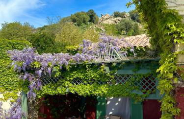 Domaine Victoria - Foto 5