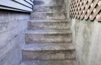 No Car Needed - N Beacon Hill Beauty - Foto 42