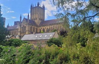 Cottage in Wells - Foto 24