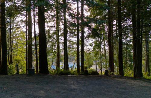 Hidden Dome Retreat in the Trees - Foto 12