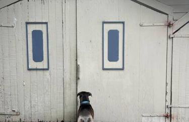 Aloha Junction Bed and Breakfast -Minutes away from Hawaii Volcanoes National Park - Foto 9