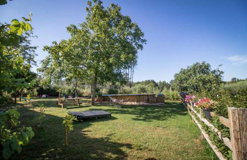 Quinta Vale Salgueiro - Foto 6