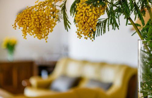 Apartman Noli - Photo 47