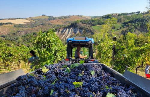 Agriturismo Fiorano - Foto 79