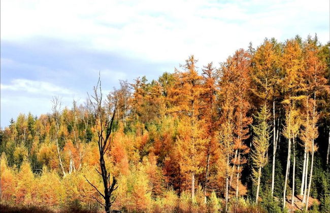 Holiday Home in Ferrieres With Garden - Photo 36