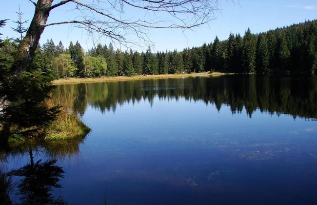 Quaint Holiday Home in Železná Ruda near Ski Area - Foto 27