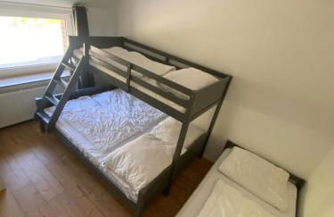 Seemöwe am Naturstrand - Foto 13