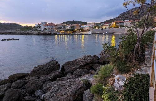 kipaki-trachila Mani - Foto 42