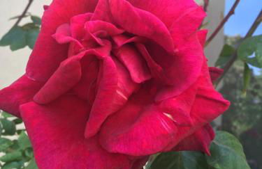 Boarding-Potsdam - Foto 28