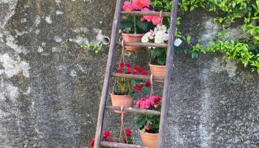 La Ca del Bicc - Foto 5, Garden