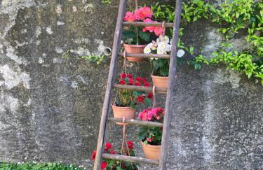 La Ca del Bicc - Foto 5