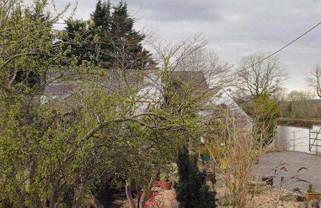 Riverside Cottage at Logwood Mill - Foto 66