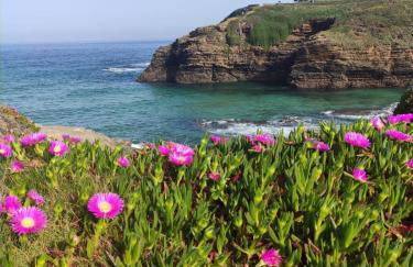 Foz, ven y disfruta Galicia - Foto 30