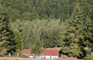 Ferienhaus Goldisthal - Photo 34