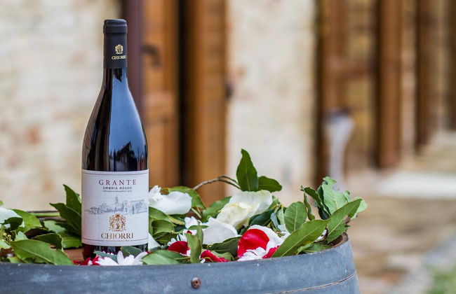 Agriturismo Chiorri - Foto 23