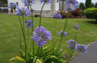 Apartamentos La Cruz de Paderne - Foto 54