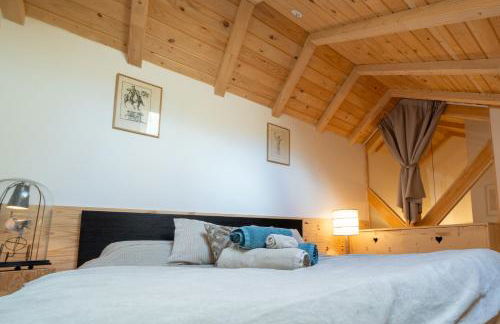 Chalet plein sud 10 personnes garage privé cheminée - Foto 17