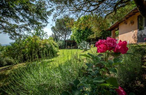 La Casa sui Colli - Foto 62