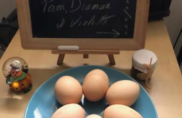 Studio de charme pour séjour tranquille à deux - Groupama Stadium - LDLC Aréna - Fiducial Astéria - Eurexpo - Aéroport St Exupéry - Base nautique du Grand Large - Foto 65