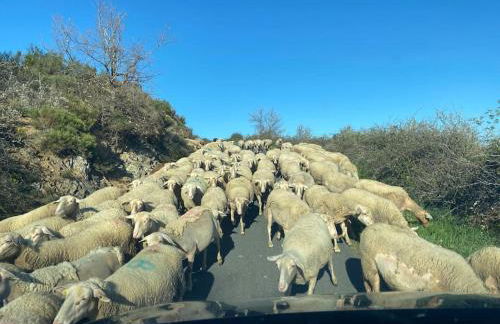 Gîte Les Voûtes du Chambon - Foto 63