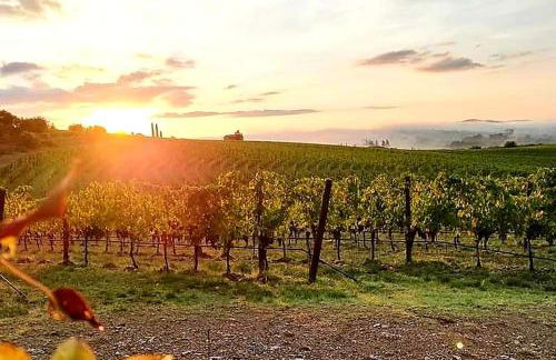 La casa di Elvira - Foto 31