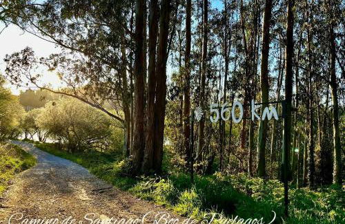 Villa Laura - Foto 55