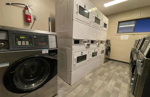 Palm Paradise - Foto 27