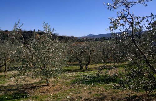 Madonna della Rosa - Foto 32