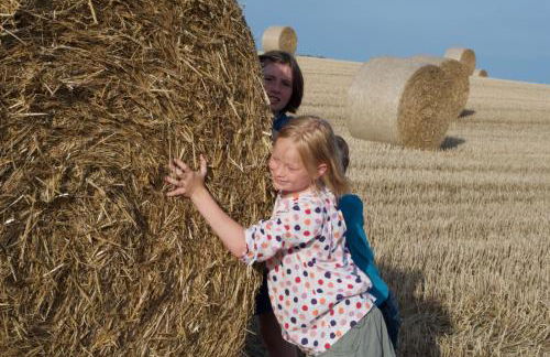 Bungalows Ostseequelle - Foto 10