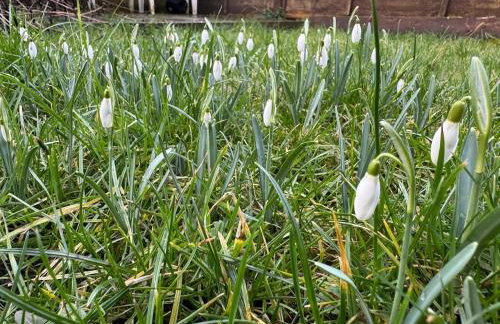 Calm Oasis Honley Bridge - Foto 30