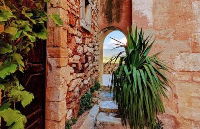 Gîte Le Bosquet - Au cœur du Luberon - Photo 21