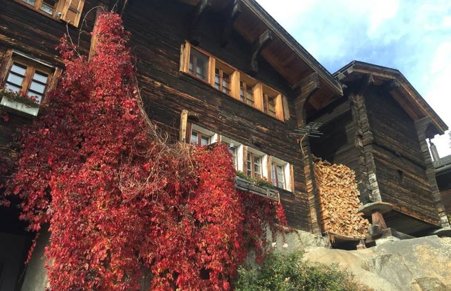 Amici 1. OG West - Foto 55