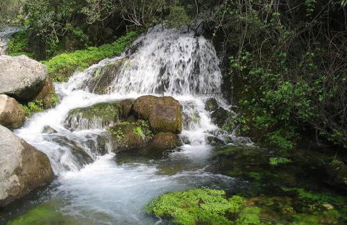 NAPAIMBE Sierra - Foto 39