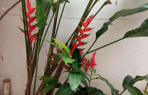 CASAS e KITNETS NOSSO CANTINHO - Foto 30