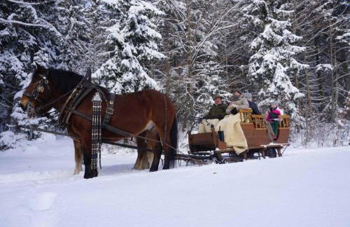 Bayerwald-Ferienhof Schmid - Foto 21