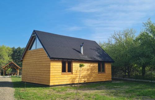 Przyjazna zagroda leśne runo - Foto 1